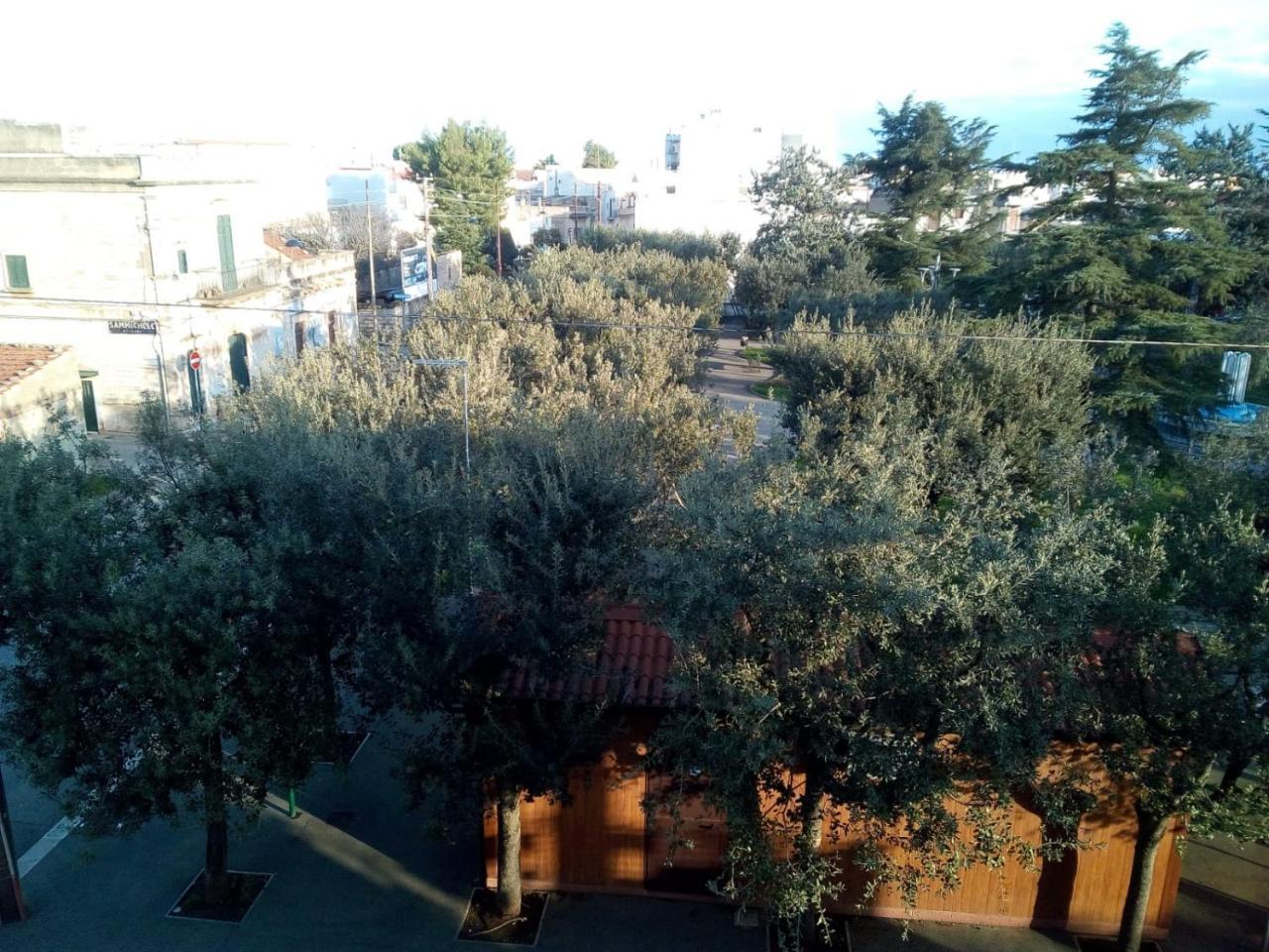 La casa di Mariagrazia Appartamento 4 locali Sammichele Di Bari Esterno foto