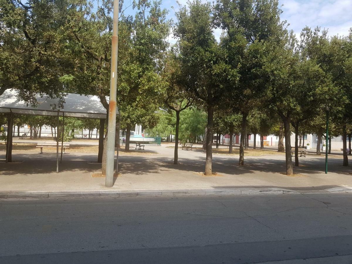 La casa di Mariagrazia Appartamento 4 locali Sammichele Di Bari Esterno foto